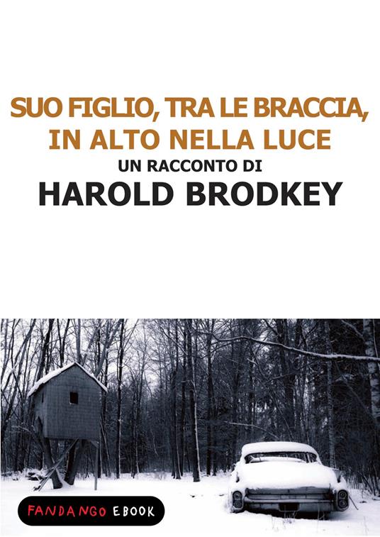 Suo figlio, tra le braccia, in alto nella luce - Harold Brodkey - ebook