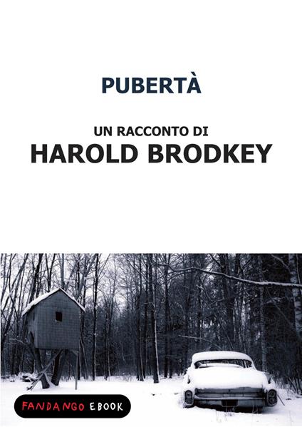 Pubertà - Harold Brodkey - ebook