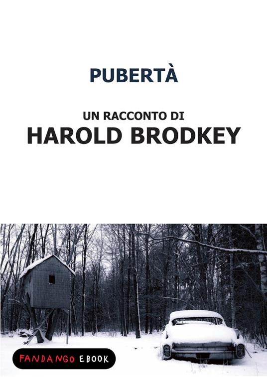 Pubertà - Harold Brodkey - ebook