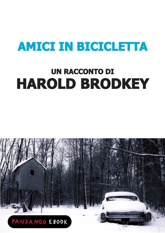 Amici in bicicletta - Harold Brodkey - ebook