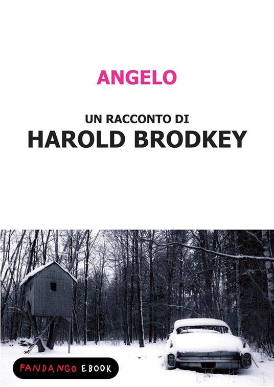 Angelo - Harold Brodkey - ebook