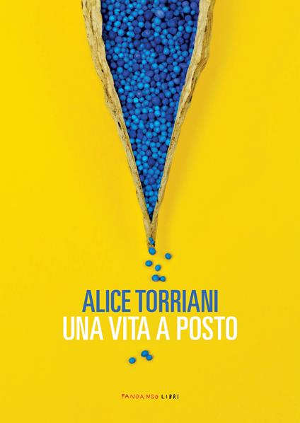 Una vita a posto - Alice Torriani - ebook