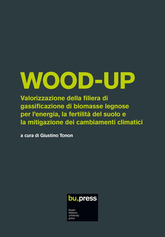 Wood-up. Valorizzazione della filiera di gassificazione di biomasse legnose per l'energia, la fertilità del suolo e la mitigazione dei cambiamenti climatici - copertina