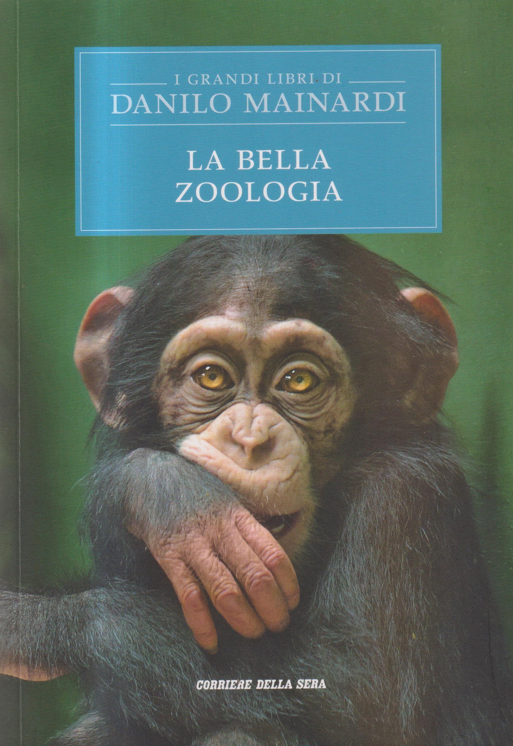 Libreria sottomarina