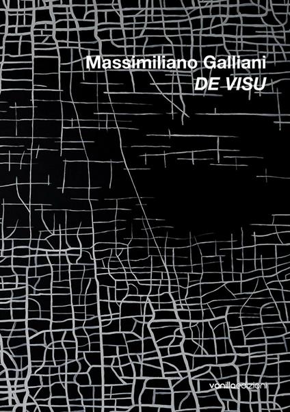 Massimiliano Galliani. De Visu. Ediz. illustrata - copertina