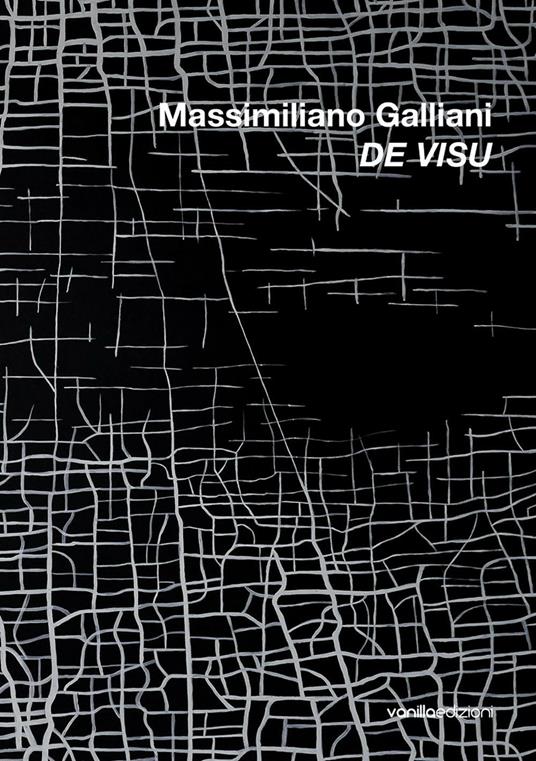 Massimiliano Galliani. De Visu. Ediz. illustrata - copertina