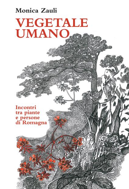 Vegetale umano. Incontri tra piante e persone di Romagna. Ediz. illustrata - Monica Zauli - copertina