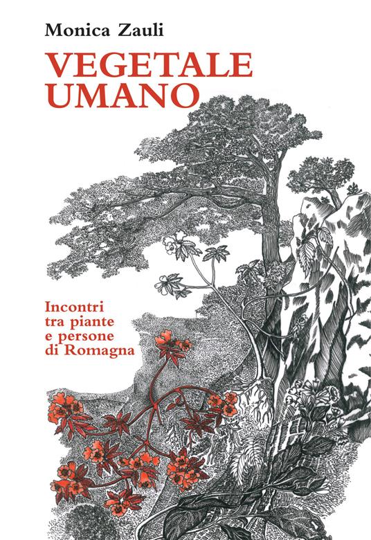 Vegetale umano. Incontri tra piante e persone di Romagna. Ediz. illustrata - Monica Zauli - copertina