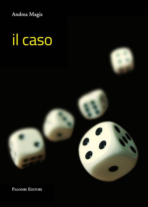 Il caso - Andrea Magis - copertina