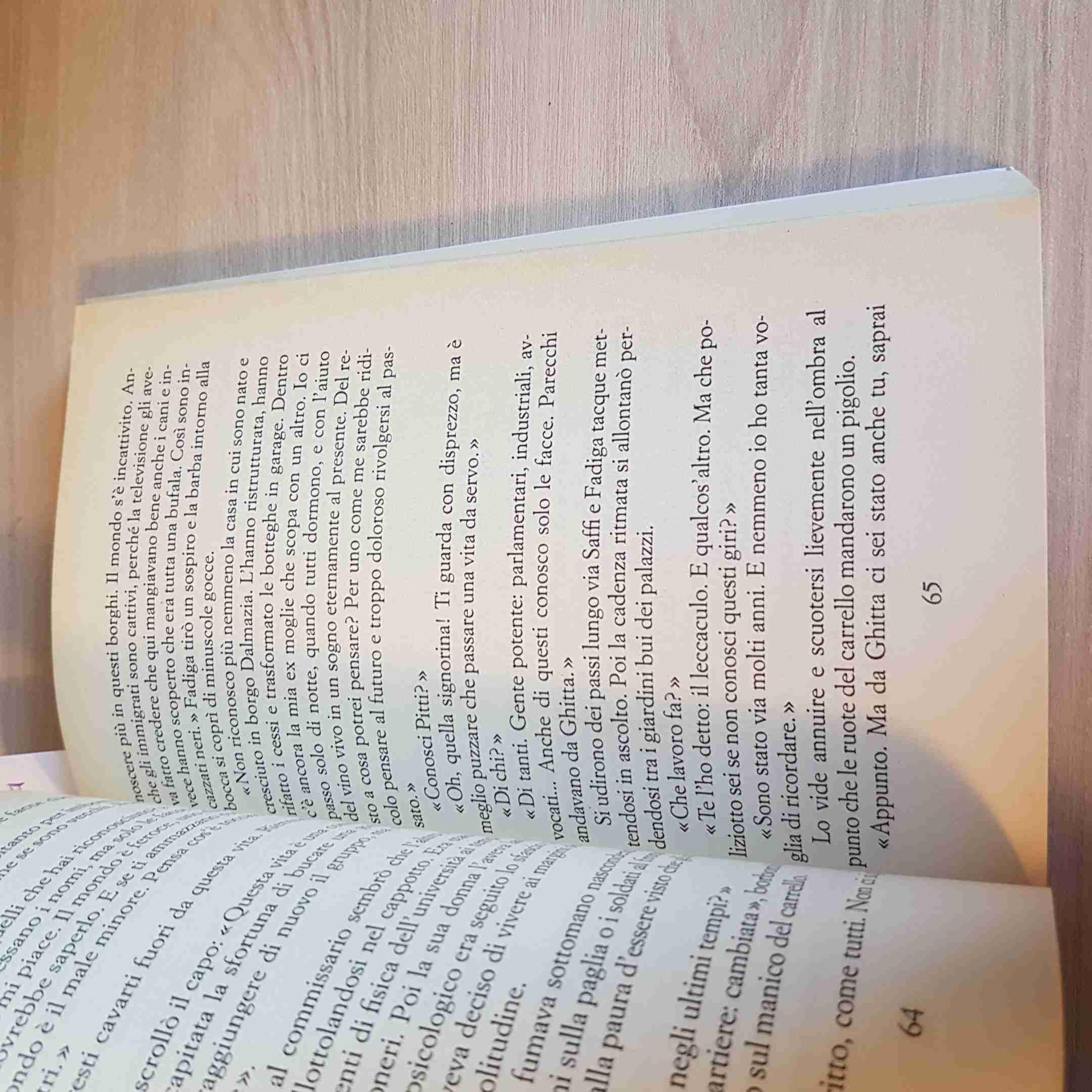 L'affittacamere. Le inchieste del commissario Soneri