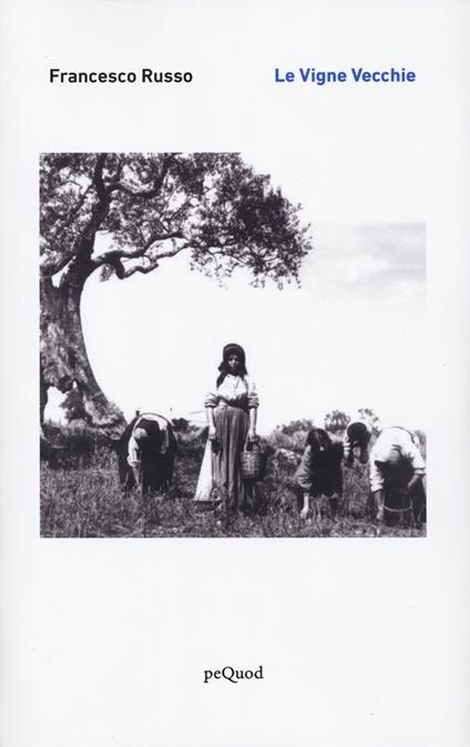 Le vigne vecchie - Francesco Russo - copertina