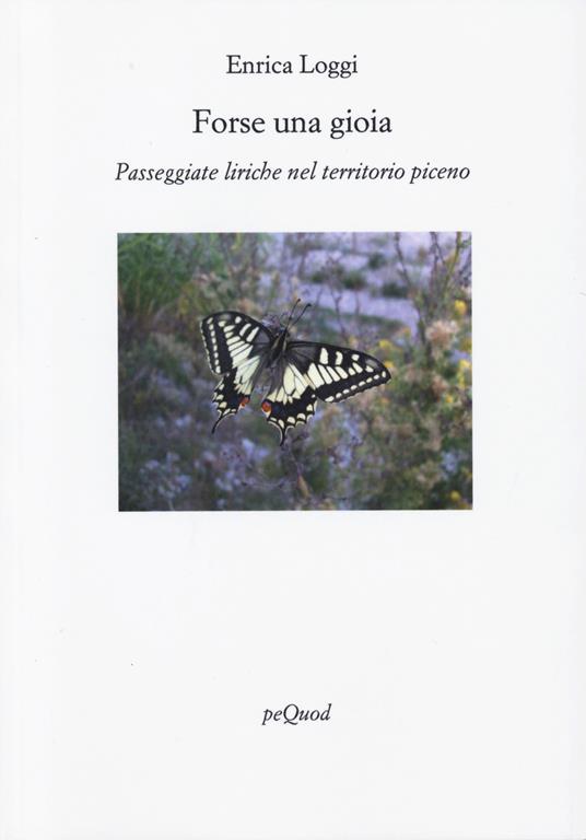 Forse una gioia - Enrica Loggi - copertina