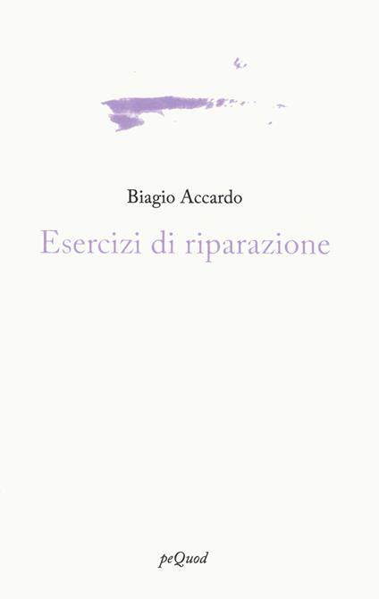 Esercizi di riparazione - Biagio Accardo - copertina