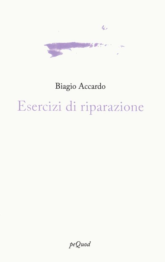 Esercizi di riparazione - Biagio Accardo - copertina