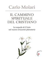 Il Cammino spirituale del cristiano. La sequela di Cristo nel nuovo orizzonte planetario