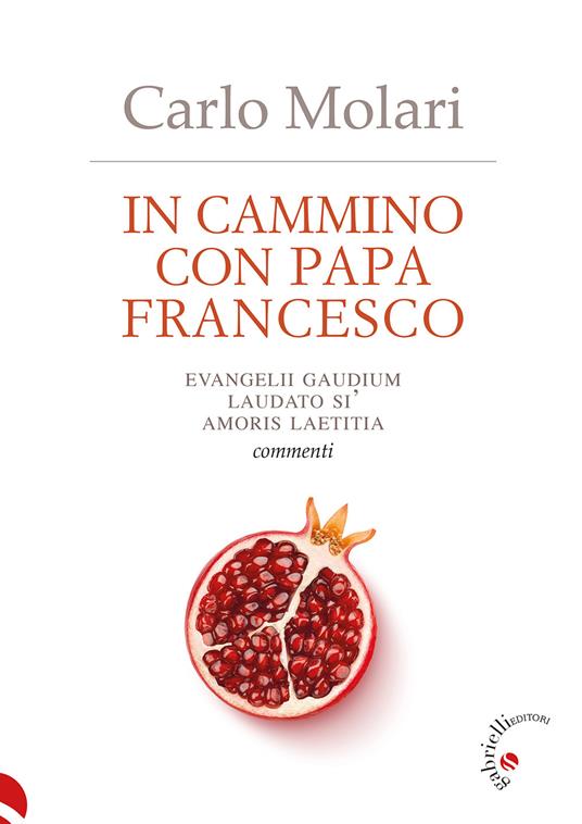 In cammino con papa Francesco. Evangelii Gaudium, Laudato si', Amoris laetitia. Commenti - Carlo Molari - copertina