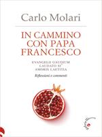 In cammino con papa Francesco. Evangelii gaudium, Laudato si', Amoris laetitia. Riflessioni e commenti