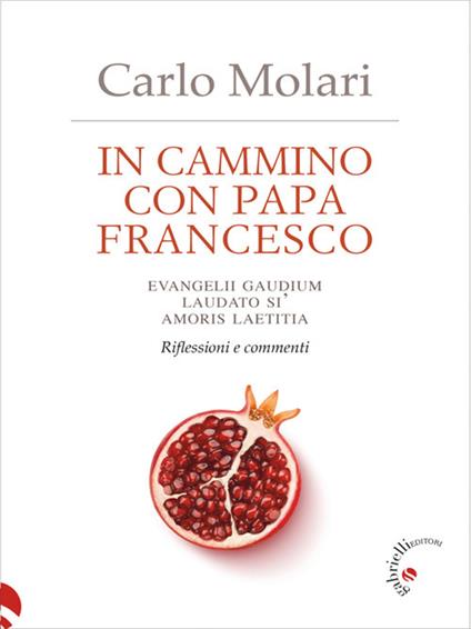 In cammino con papa Francesco. Evangelii gaudium, Laudato si', Amoris laetitia. Riflessioni e commenti - Carlo Molari,Francesco Nicastro - ebook