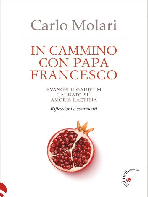 In cammino con papa Francesco. Evangelii gaudium, Laudato si', Amoris laetitia. Riflessioni e commenti - Carlo Molari,Francesco Nicastro - ebook