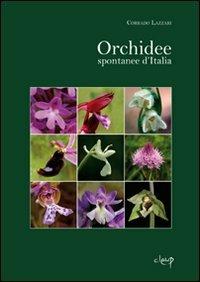 Orchidee spontanee d'Italia. Ediz. illustrata - Corrado Lazzari - copertina