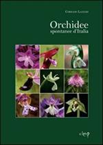Orchidee spontanee d'Italia. Ediz. illustrata
