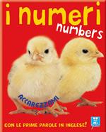 I numeri-Numbers. Ediz. illustrata