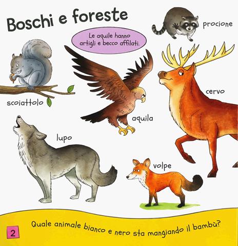 Il mio libro degli animali. Ediz. a colori - Nick Afia - 2