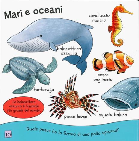 Il mio libro degli animali. Ediz. a colori - Nick Afia - 3