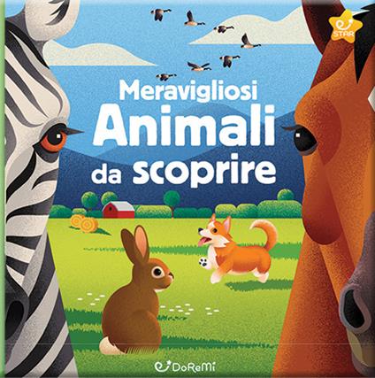Meravigliosi animali da scoprire. Animal world. Ediz. a colori - copertina