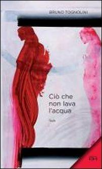 Ciò che non lava l'acqua. Ediz. illustrata - Bruno Tognolini - copertina