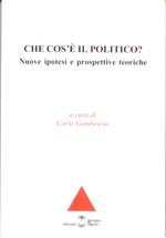Che cos'è il politico? Nuove ipotesi e prospettive teoriche