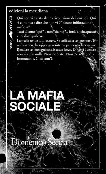 La mafia sociale - Domenico Seccia - copertina