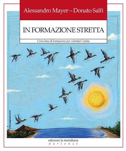 In formazione stretta. Corso base di formazione per volontari Caritas - Alessandro Mayer,Donato Salfi - ebook
