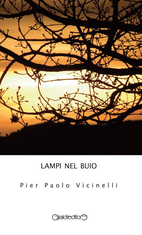 Lampi nel buio - P. Paolo Vicinelli - copertina