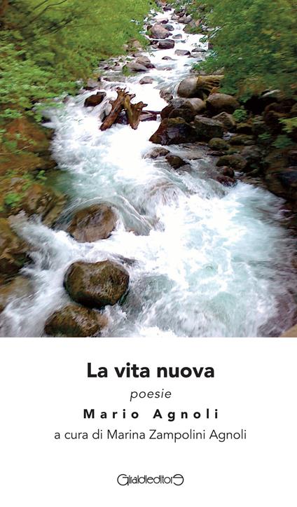 La vita nuova - Mario Agnoli - copertina