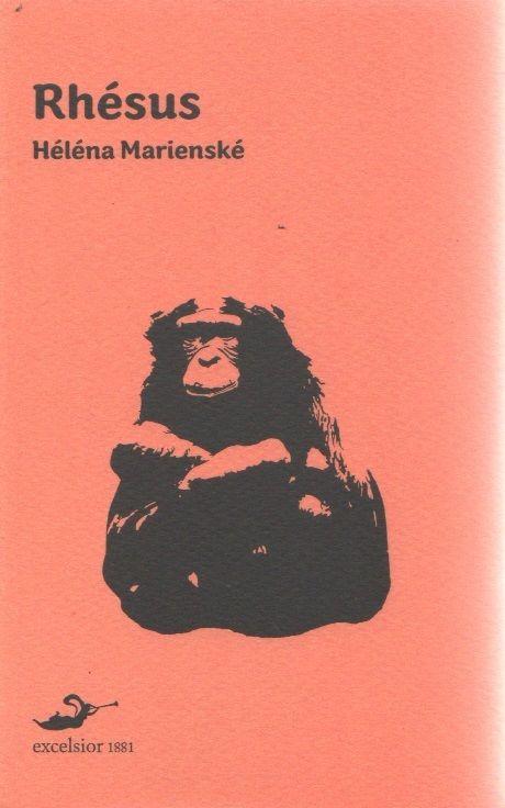 Libreria Biblos di Costa Pierandrea