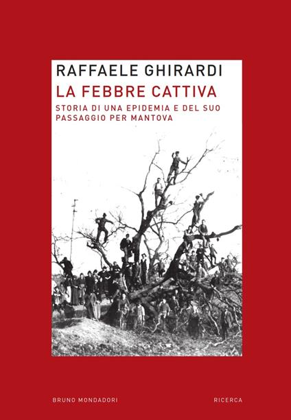 La febbre cattiva. Storia di un'epidemia e del suo passaggio per Mantova - Raffaele Ghirardi - ebook