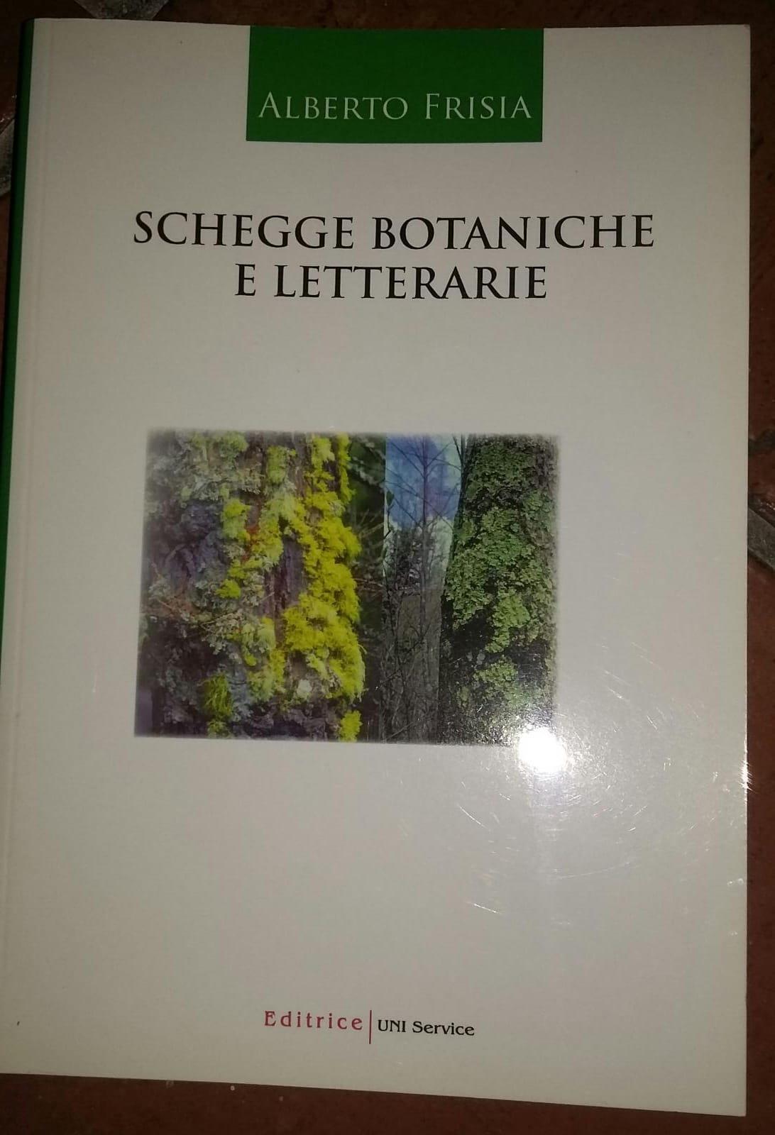 Librisaggi