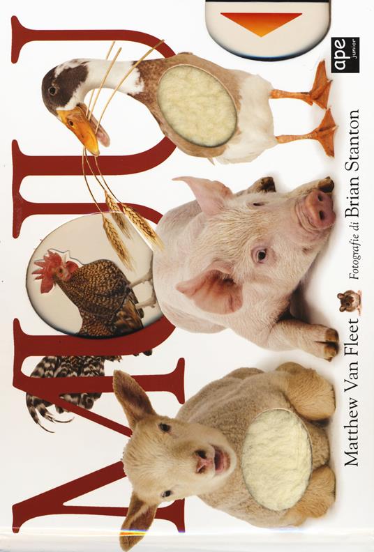 Muu - Matthew Van Fleet,Brian Stanton - copertina
