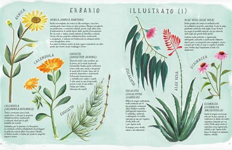 Belle di natura. Manuale illustrato di cosmesi biologica - Maru Godas - 9