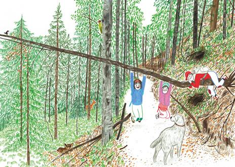 Su e giù per le montagne. Ediz. a colori - Irene Penazzi - 2