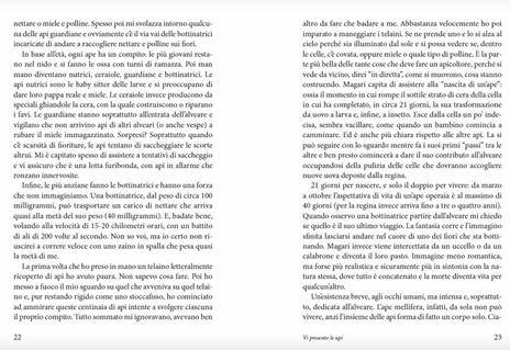 Io sto con le api. Conoscere, proteggere e amare un mondo in pericolo - Dario Paladini - 5
