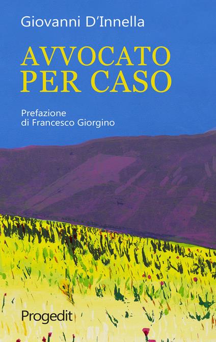 Avvocato per caso - Giovanni D'Innella - copertina