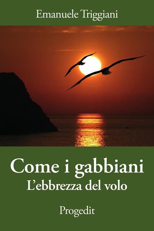 Come i gabbiani. L'ebbrezza del volo - Emanuele Triggiani - copertina