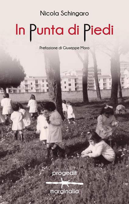 In punta di piedi - Nicola Schingaro - copertina