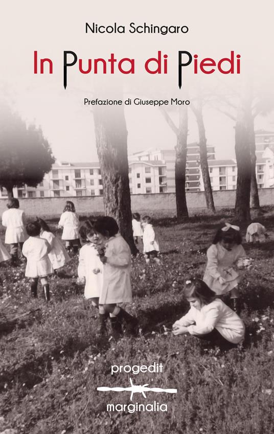 In punta di piedi - Nicola Schingaro - copertina