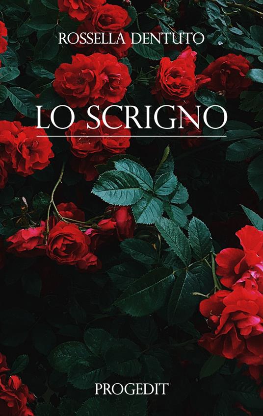 Lo scrigno - Rossella Dentuto - copertina