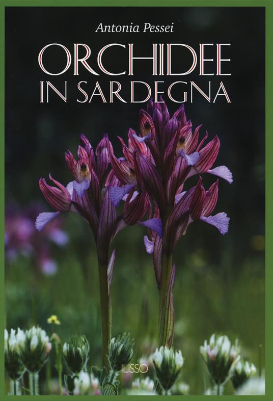 Orchidee in Sardegna. Ediz. illustrata - Antonia Pessei - copertina