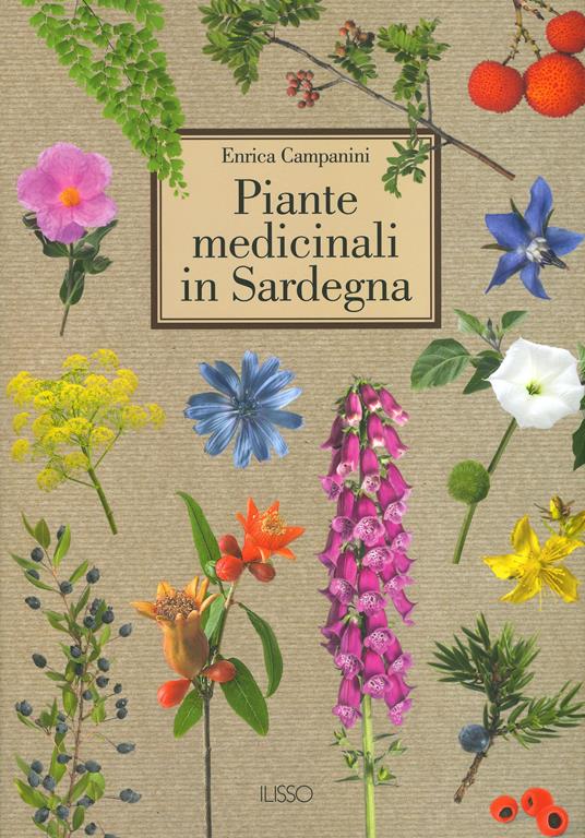Piante medicinali in Sardegna. Ediz. a colori - Enrica Campanini - copertina
