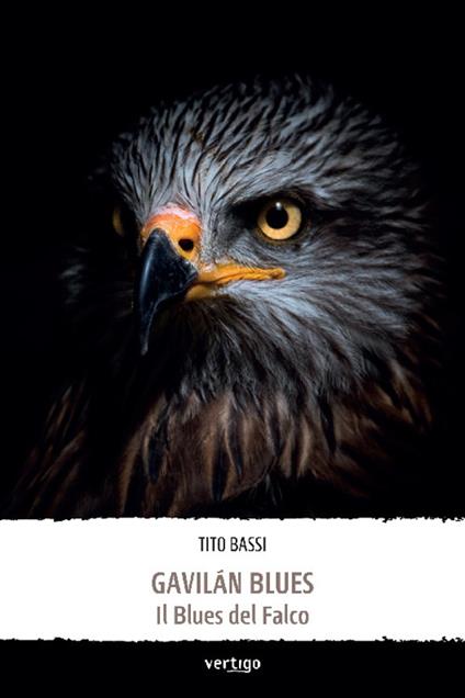 Gavilán Blues. Il blues del falco - Tito Bassi - copertina